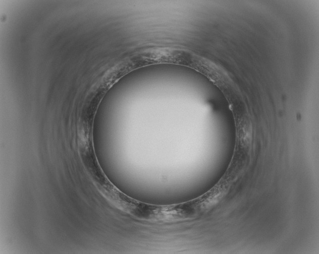 X0000078840607200611201315