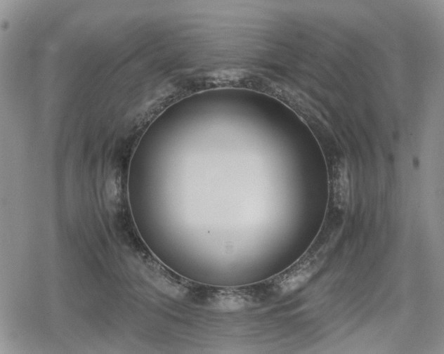 X0000078840608200611201315