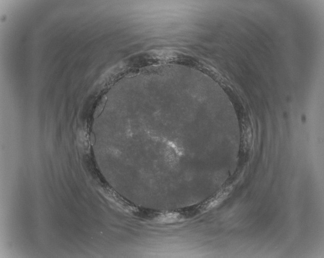 X0000078840609200611201315