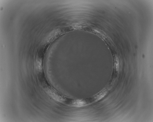 X0000078840610200611201315