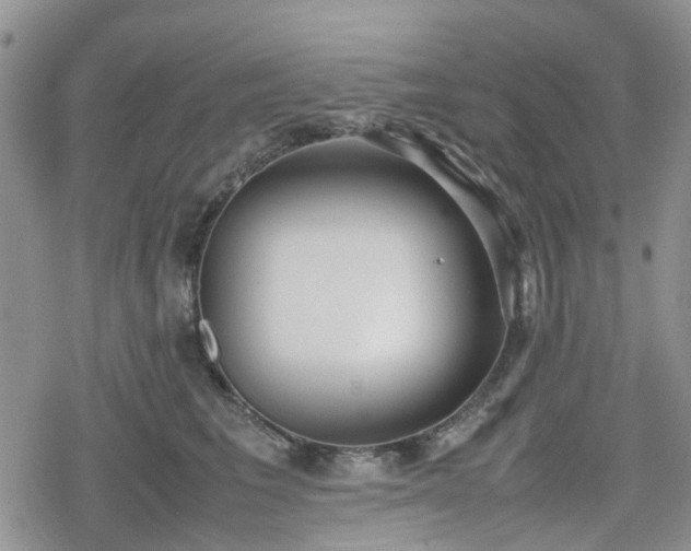 X0000078840613200611201315