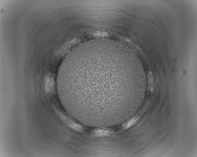 X0000078840614200611201315