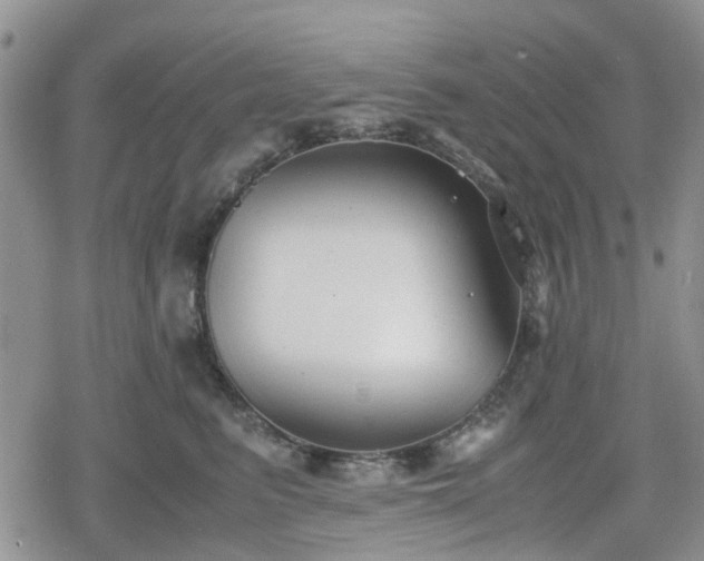 X0000078840615200611201315