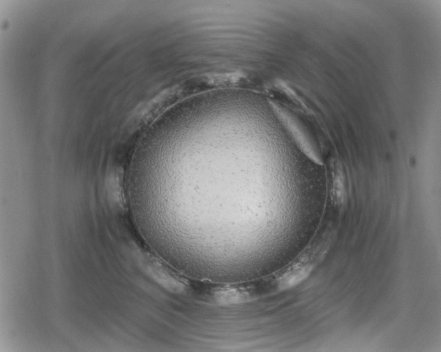 X0000078840616200611201315