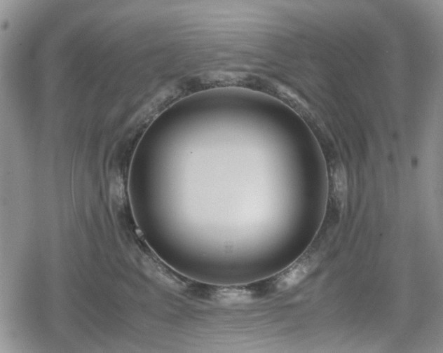 X0000078840617200611201315