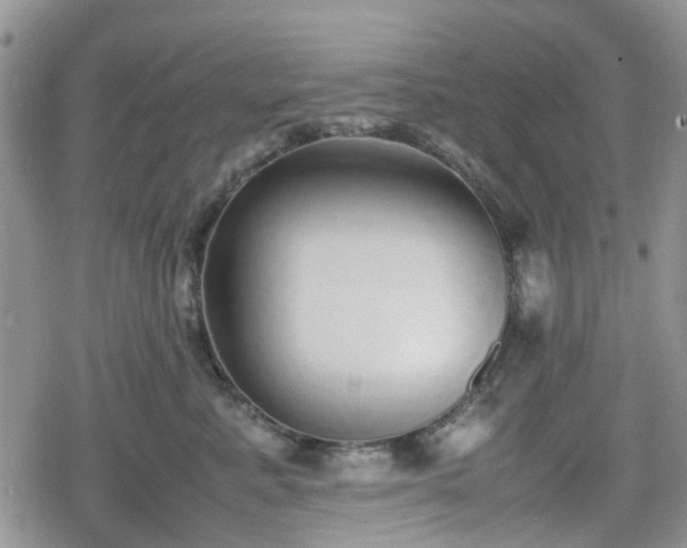 X0000078840619200611201315