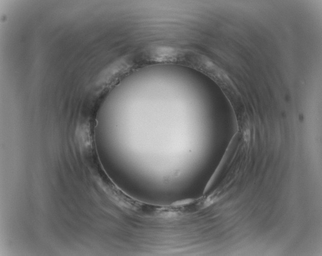 X0000078840620200611201315