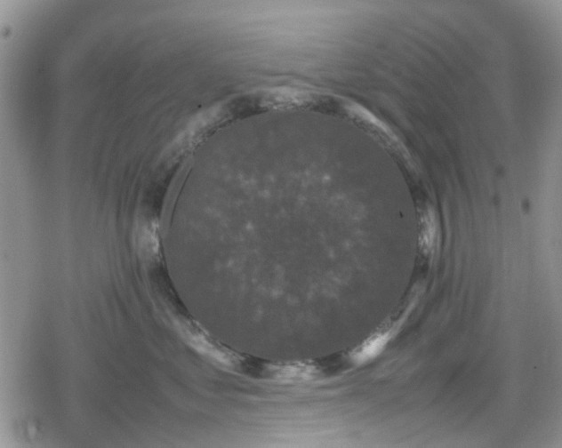 X0000078840621200611201315