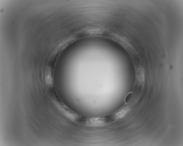 X0000078840622200611201315