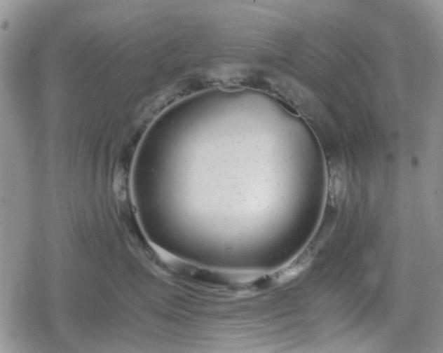 X0000078840623200611201315