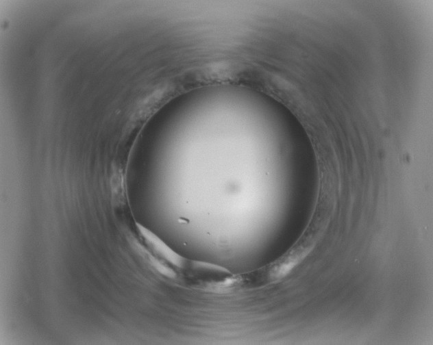 X0000078840624200611201315