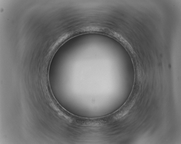 X0000078840625200611201314