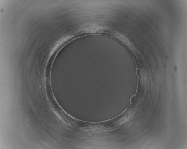 X0000078840626200611201314