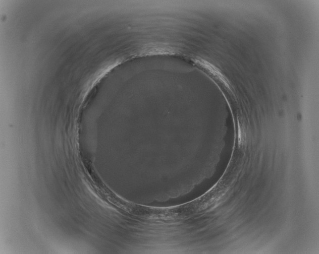 X0000078840627200611201314