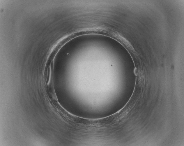 X0000078840628200611201314