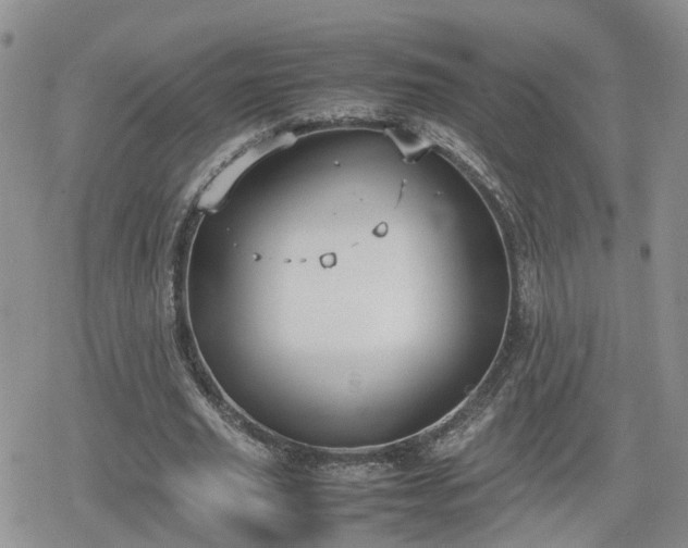 X0000078840629200611201314