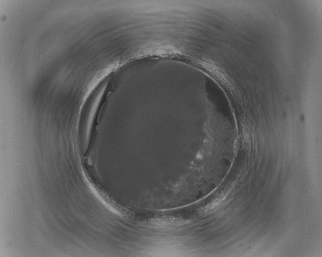 X0000078840630200611201314