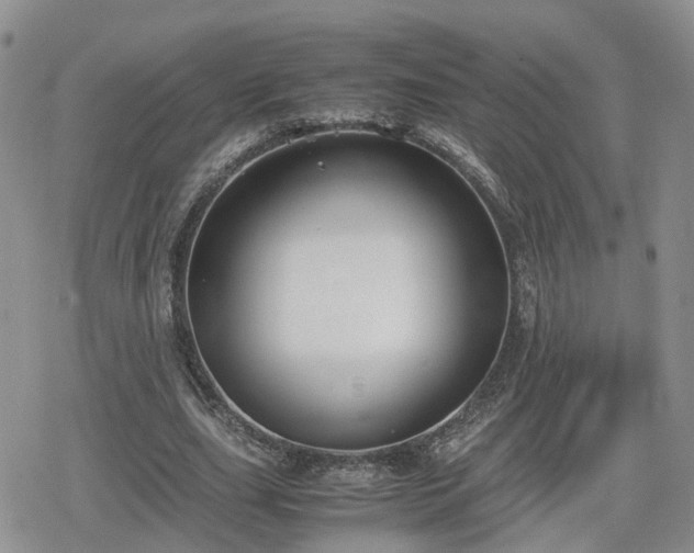 X0000078840631200611201314