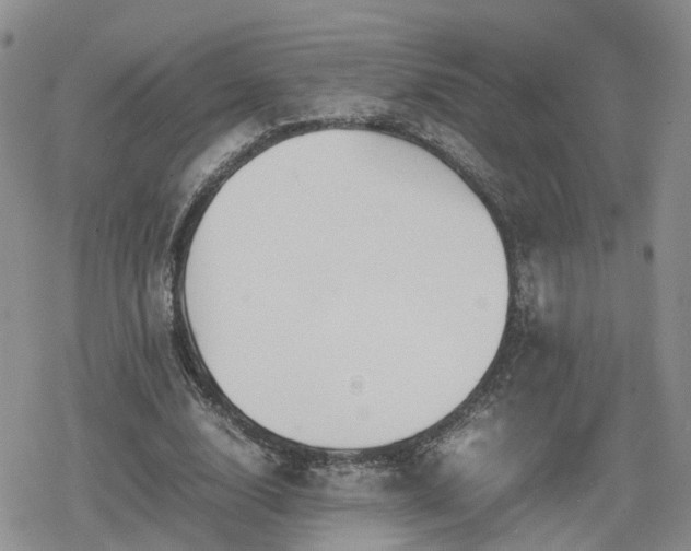 X0000078840632200611201314