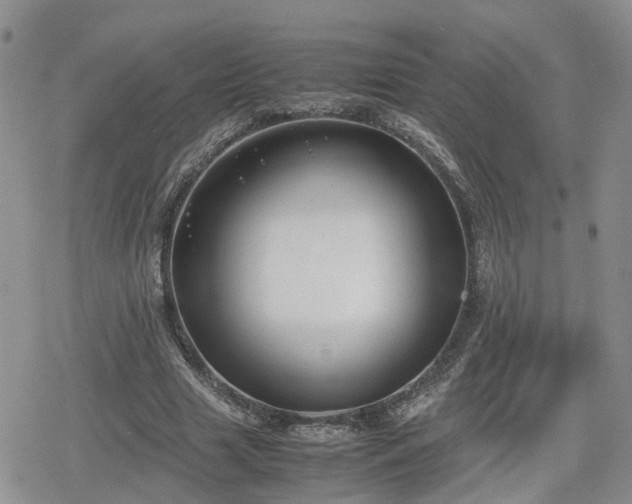 X0000078840633200611201314