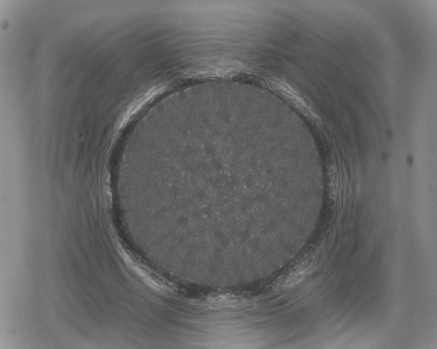 X0000078840634200611201314