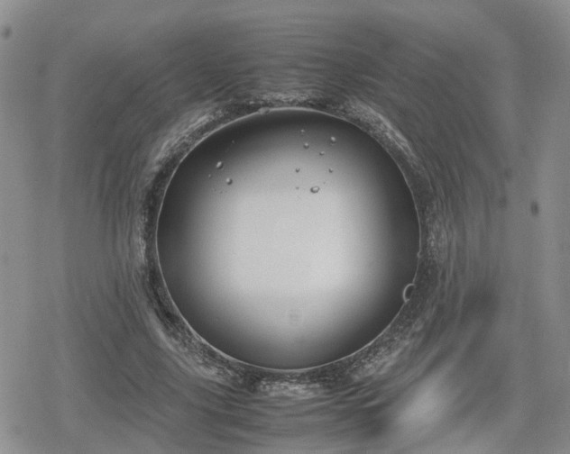 X0000078840635200611201314