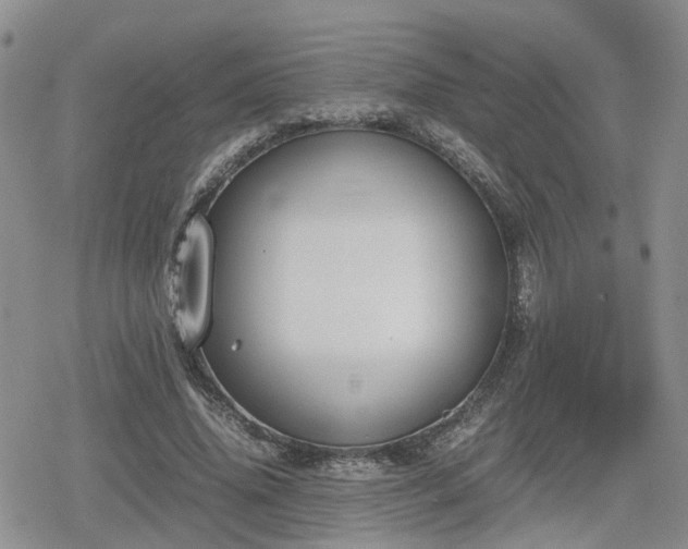 X0000078840636200611201314