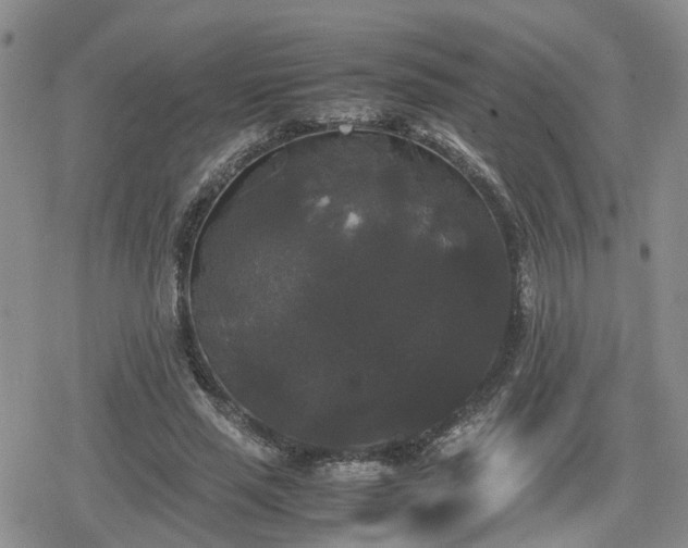 X0000078840637200611201314