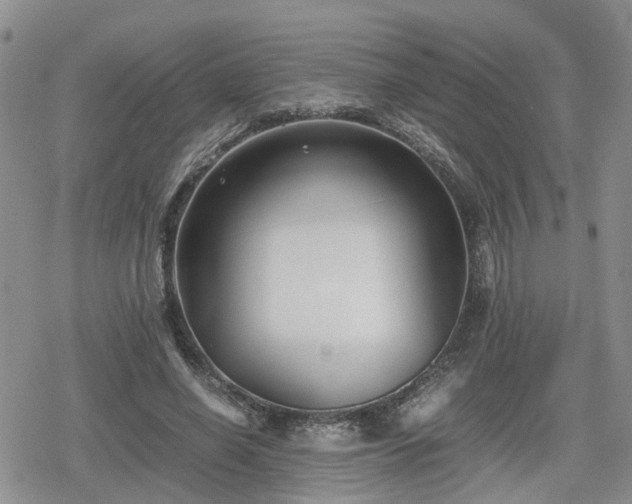 X0000078840638200611201314