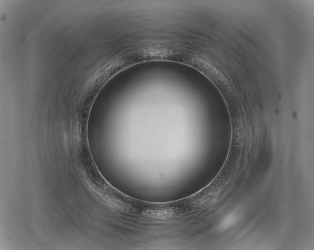 X0000078840639200611201314