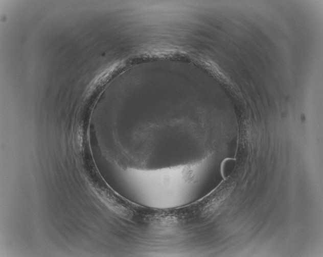 X0000078840640200611201314