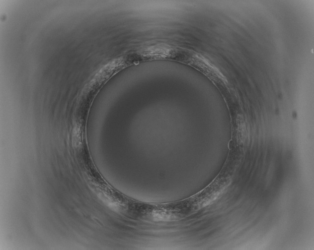 X0000078840641200611201314