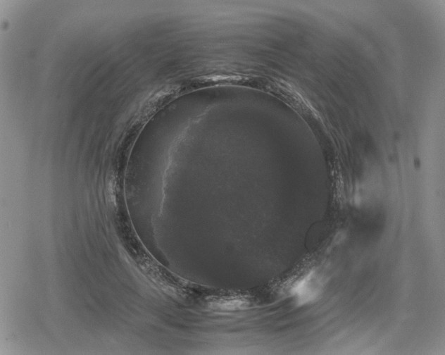 X0000078840643200611201314