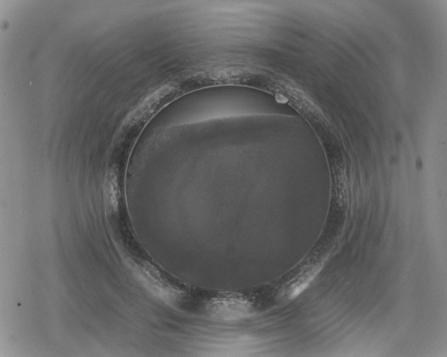 X0000078840644200611201314