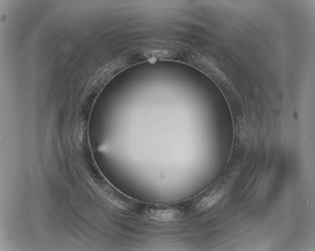 X0000078840645200611201314