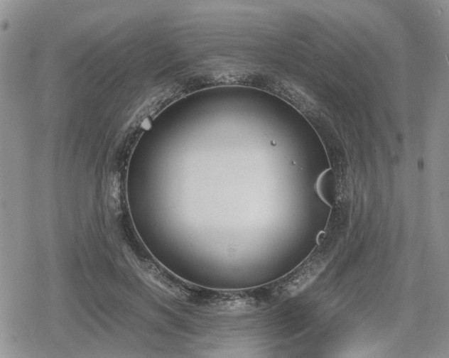 X0000078840646200611201314