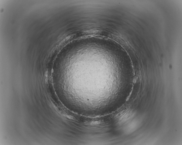 X0000078840647200611201314