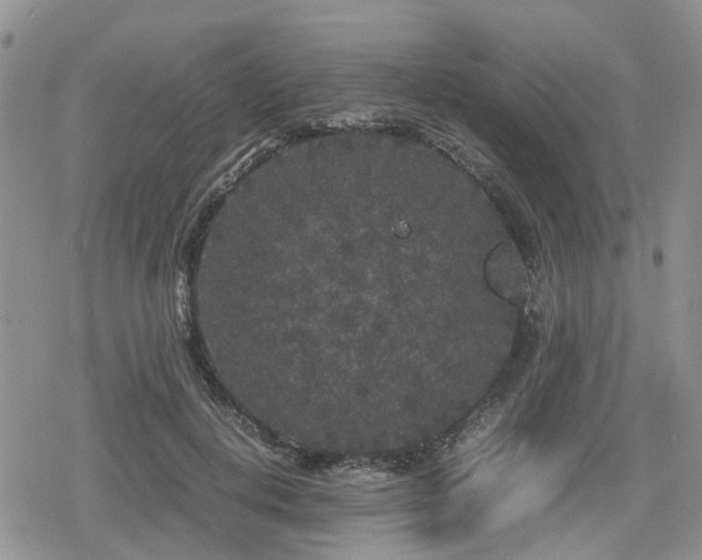 X0000078840648200611201314