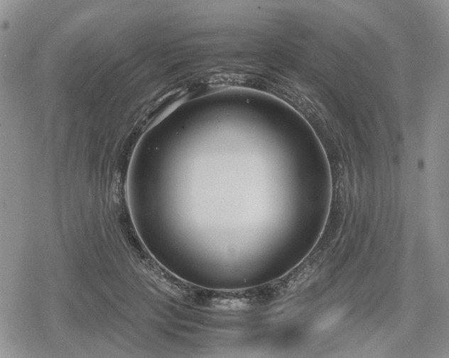 X0000078840649200611201314