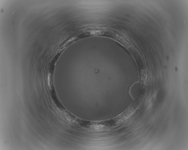 X0000078840650200611201314