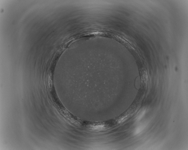 X0000078840651200611201314