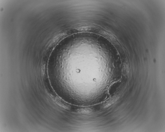 X0000078840652200611201314