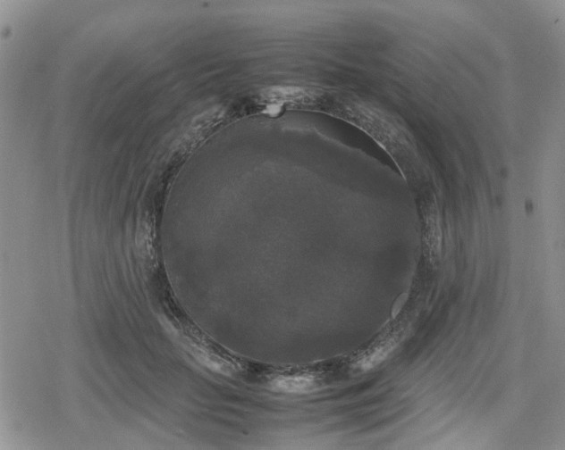 X0000078840653200611201314