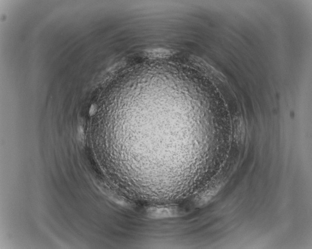 X0000078840655200611201314