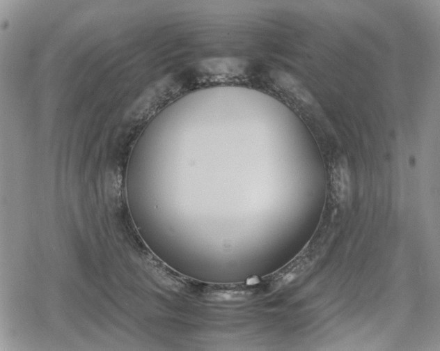 X0000078840657200611201314