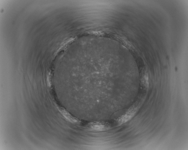 X0000078840658200611201314