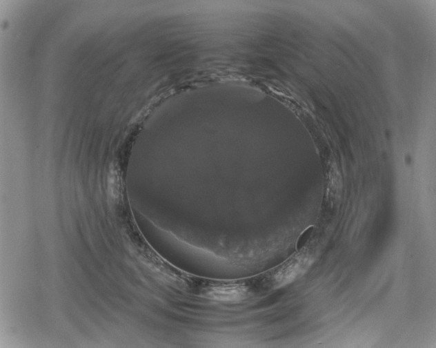 X0000078840659200611201314