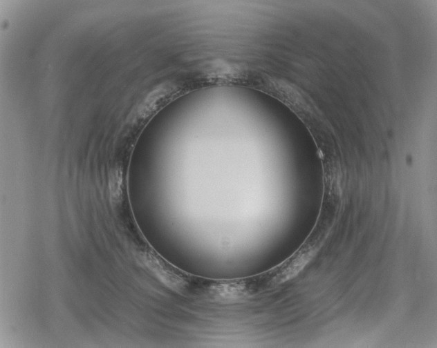 X0000078840660200611201314