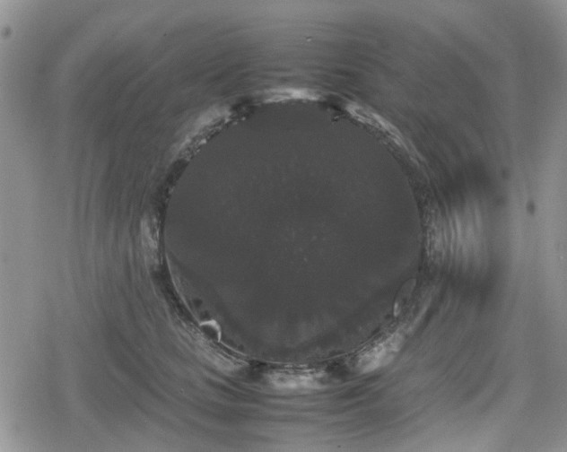 X0000078840661200611201314