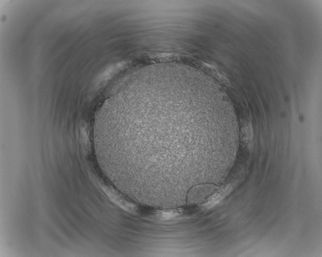 X0000078840662200611201314